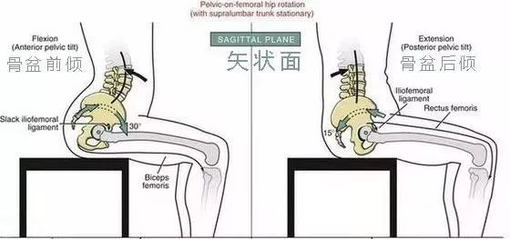 骨盆在矢状面上会发生前倾或者后倾,主要会导致腰椎曲度过弯或者过直