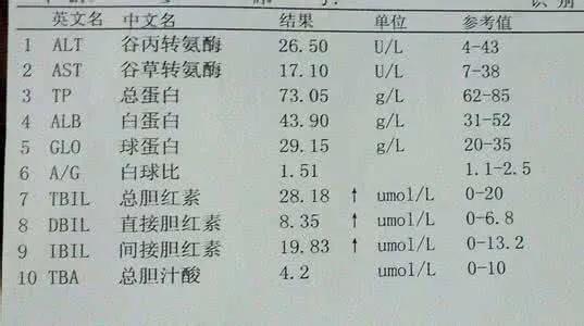 乙肝大三陽小三陽檢查膽紅素高就代表有肝炎醫生也可能是因為飢餓