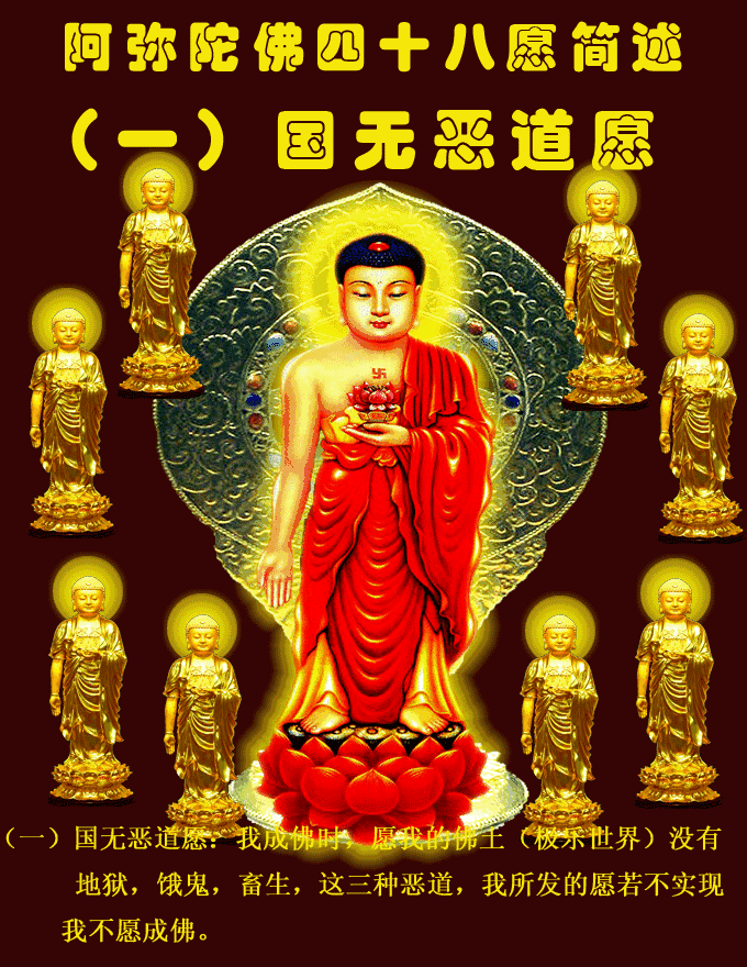 阿弥陀佛四十八愿太美了过目增福功德无量