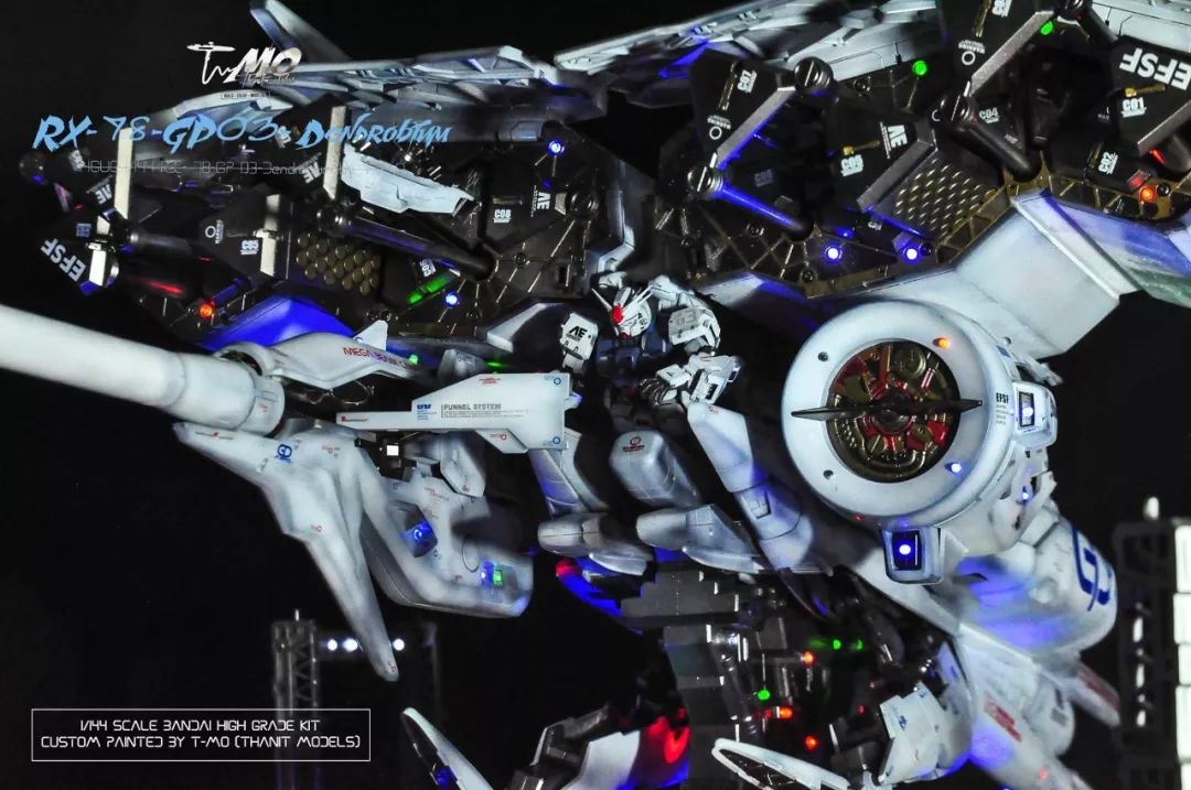 超大超强石斛兰鉴赏!