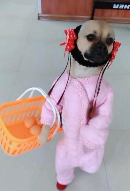 搞笑gif:把你们的女朋友看好,我要出门了