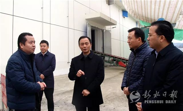 石强县长调研彭水粮食安全工作