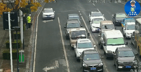 488_251gif 动态图 动图