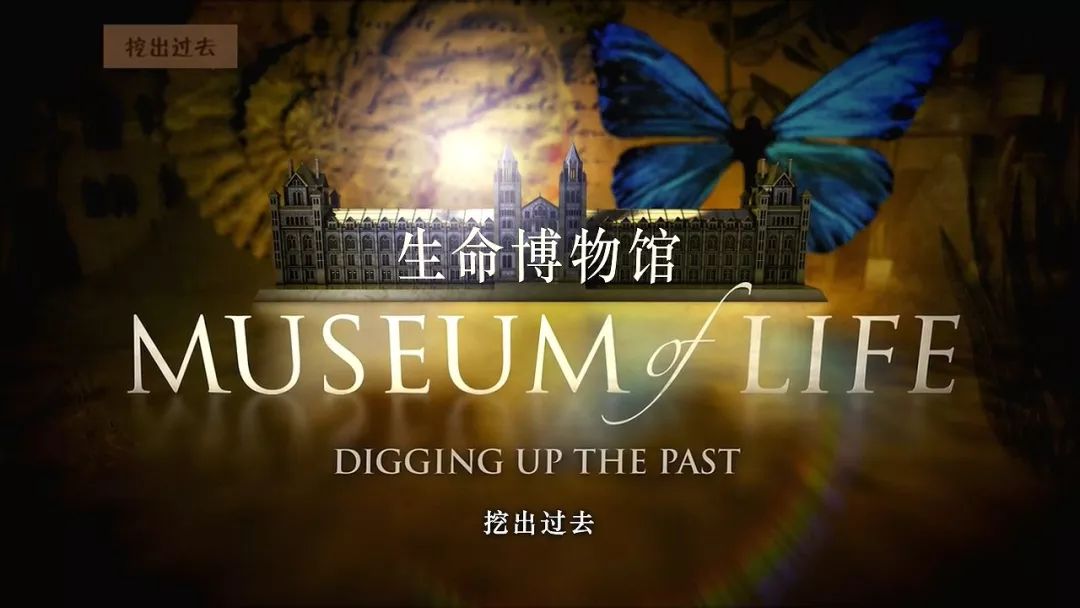 图说纪录片生命博物馆2