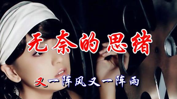 一首无奈的思绪唱出了多少人的心酸和无奈