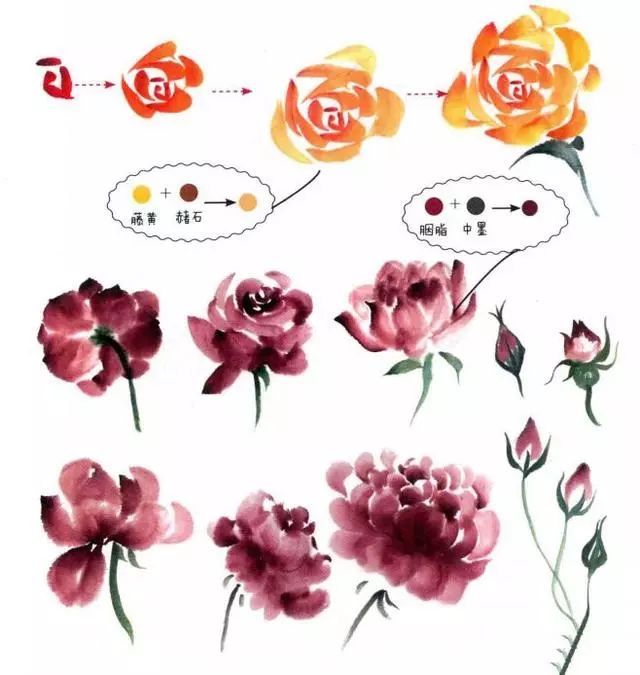 小写意月季花分解画法图片