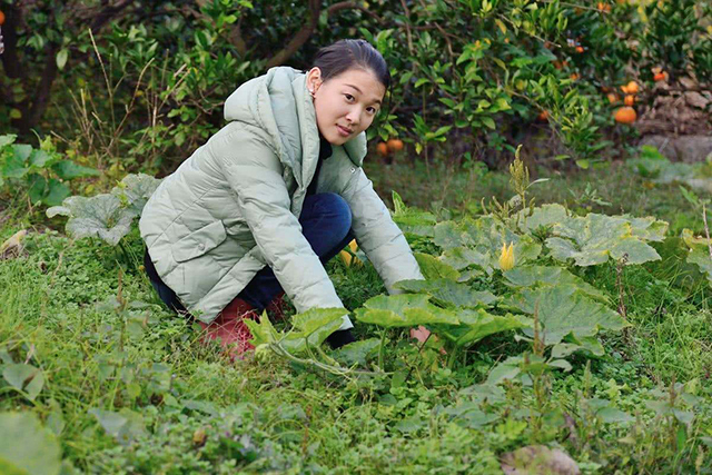 农村光棍娶妻难,33岁剩女:我只要10万彩礼,怎么他还是不娶我?