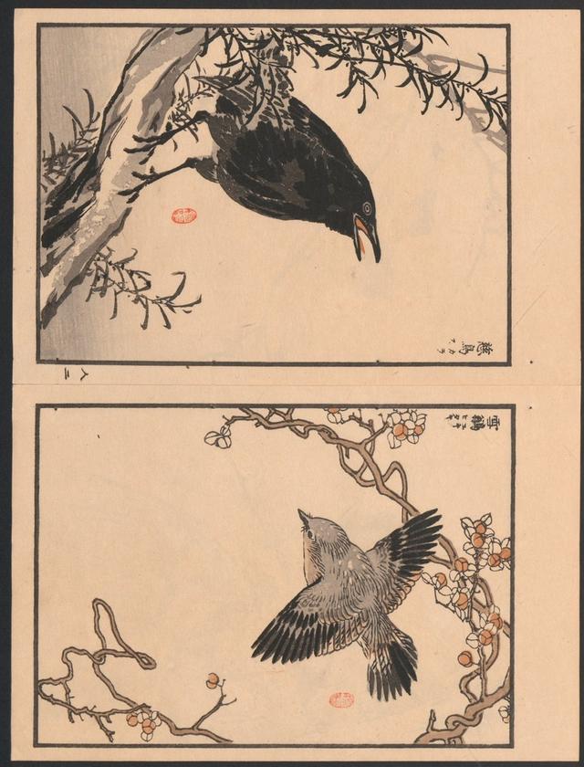 1881年梅嶺百鳥畫譜續編三冊日本幸野梅嶺畫