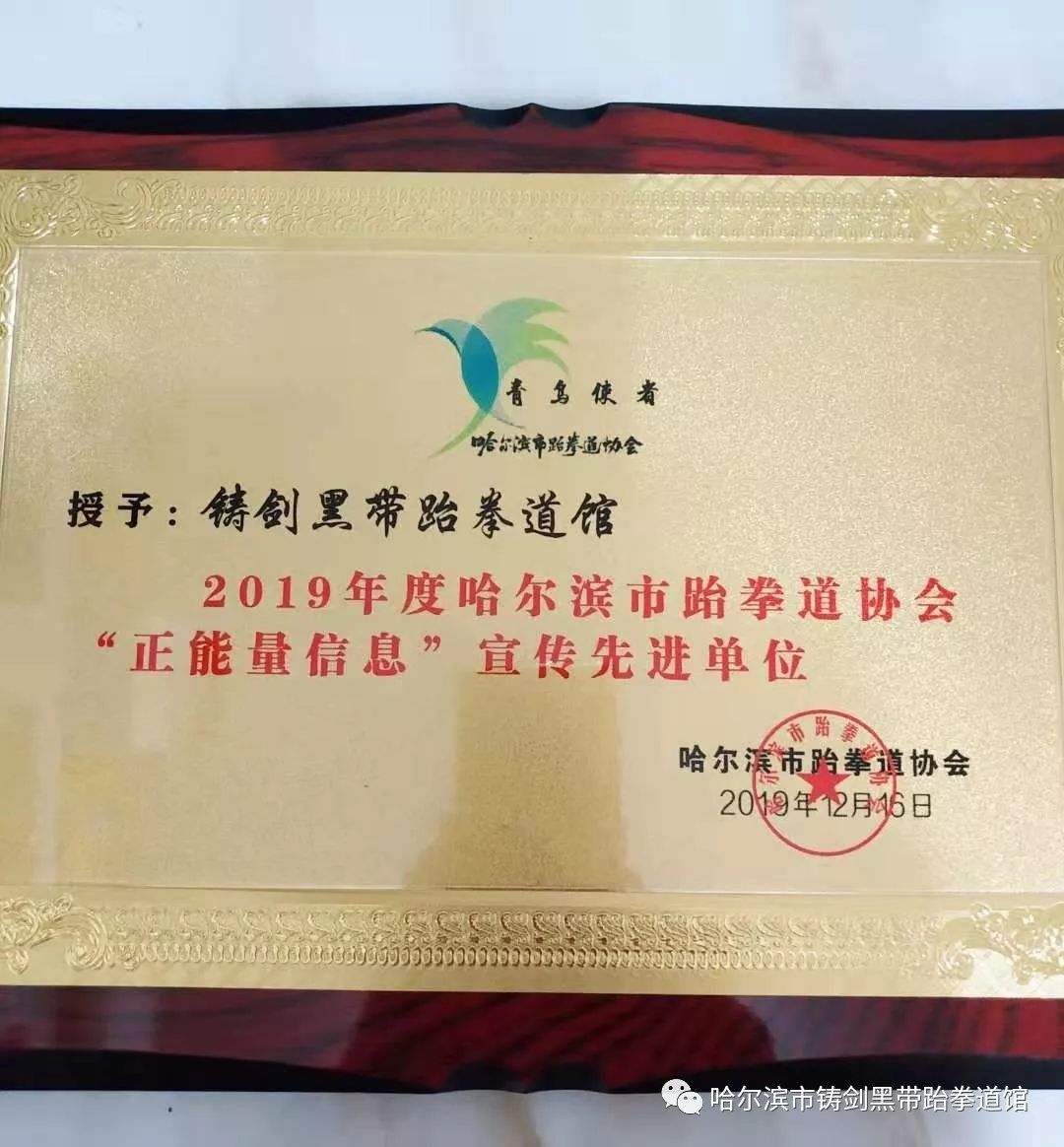 铸剑黑带跆拳道馆2019年哈尔滨跆拳道协会年度表彰大会获殊荣