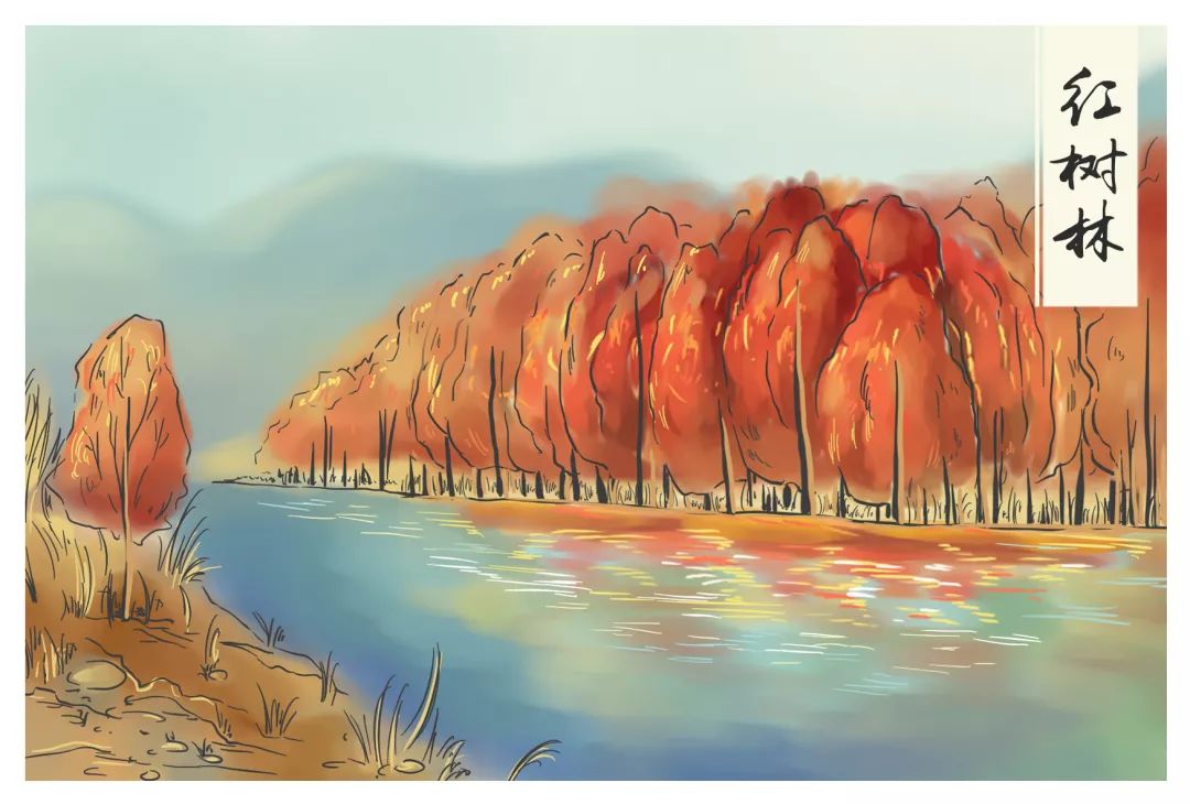 暖冬趣跑·多彩小芝 | 赴红树林之约,寻神秘古村落