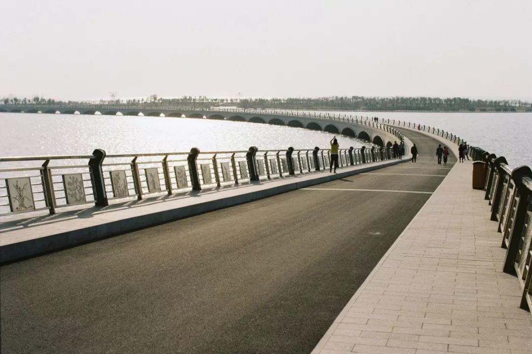 这是大家眼中最美的青浦路快来看看有你的吗