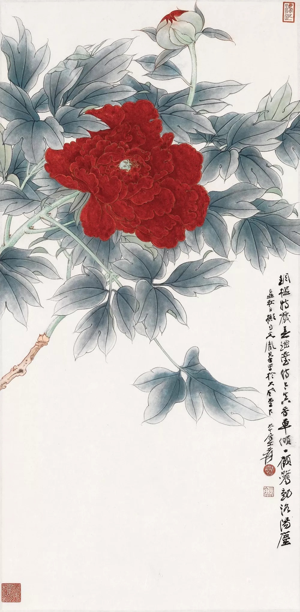 张大千花鸟画(高清100幅)