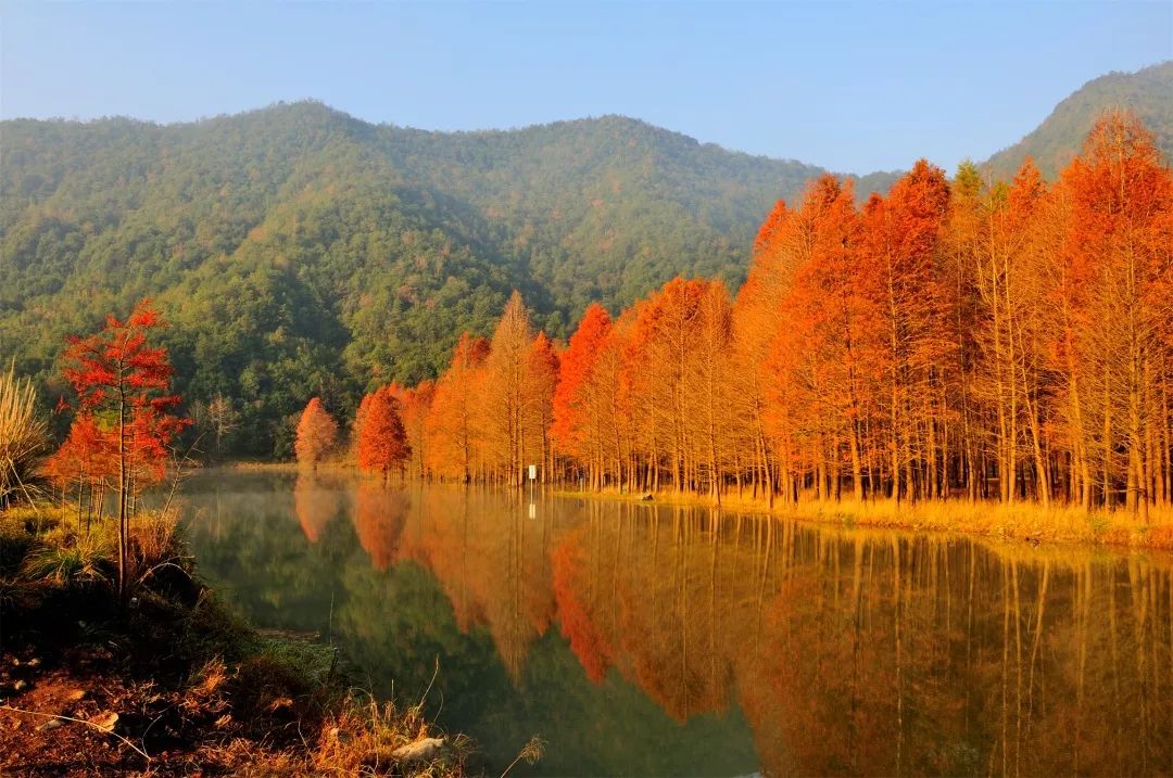 暖冬趣跑多彩小芝赴红树林之约寻神秘古村落