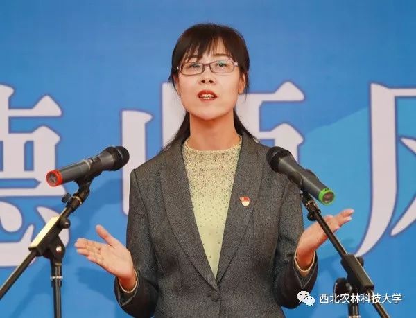 优秀奖得主倪玲老师优秀奖得主李馨怡老师三等奖得主白旭英老师三等奖