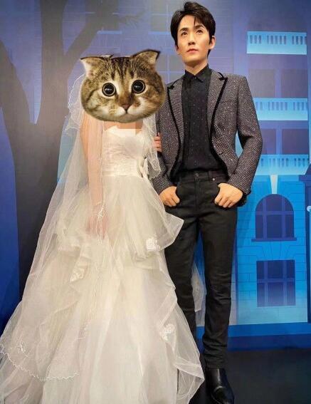 朱一龙结婚照片图片