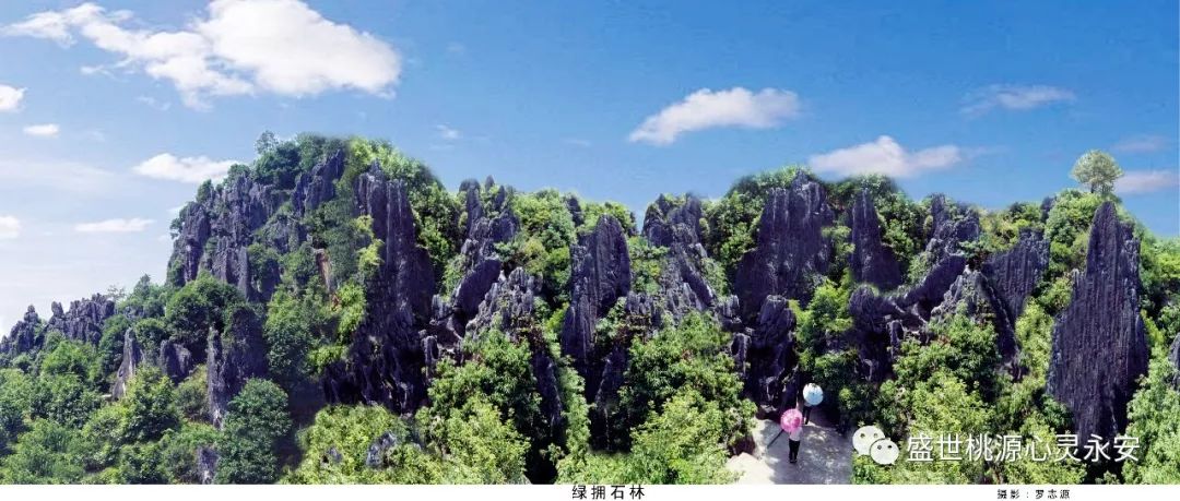 旅游永安桃源洞鳞隐石林吉山抗战旧址汀州古城火车二日游与您的周末之