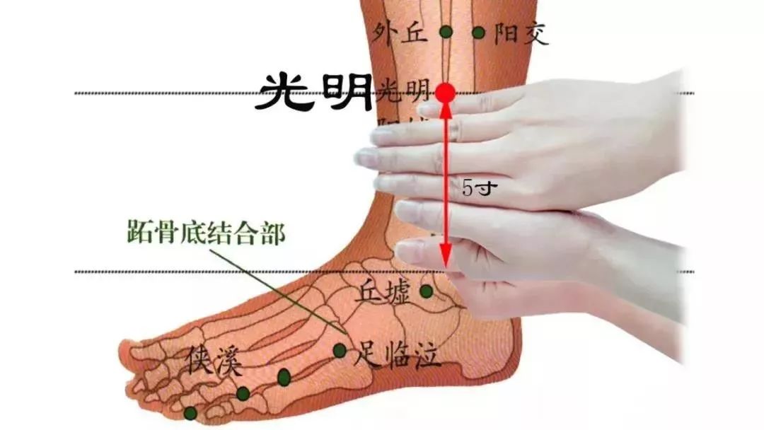 一病一穴103個穴穴準病退