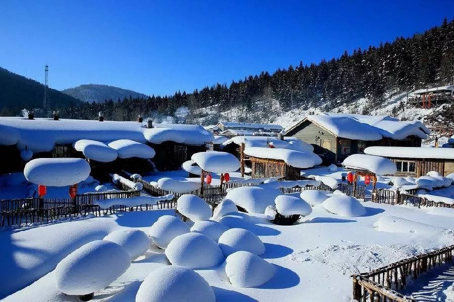 一百年前,老东北们只知有个东山里,没有人知道小兴安岭.