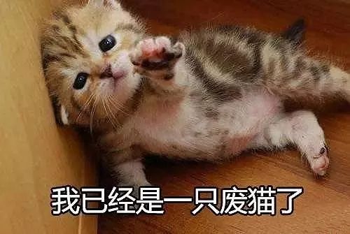 为什么班币学分币的游戏在学校里常常不成功?