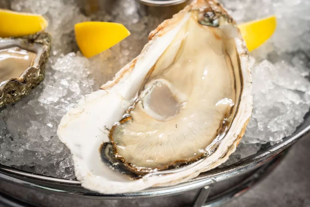 皇家古斯生蚝每一只都是百里挑一,肉质肥嫩,海水浓郁还带有非常平衡的