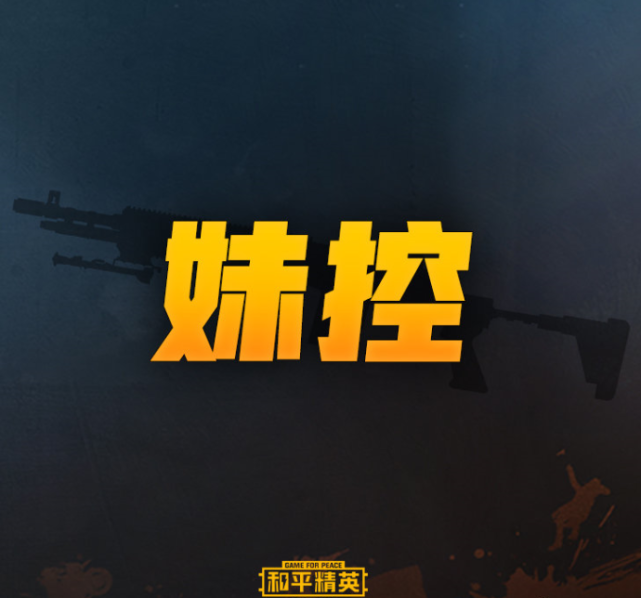 和平精英mk14别名妹控m24别名订书机听到vss别名笑出猪叫