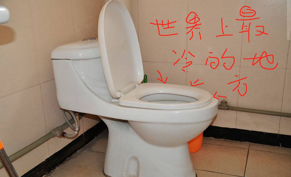 在线等很急拉肚子遇到冰凉的马桶圈坐还是不坐