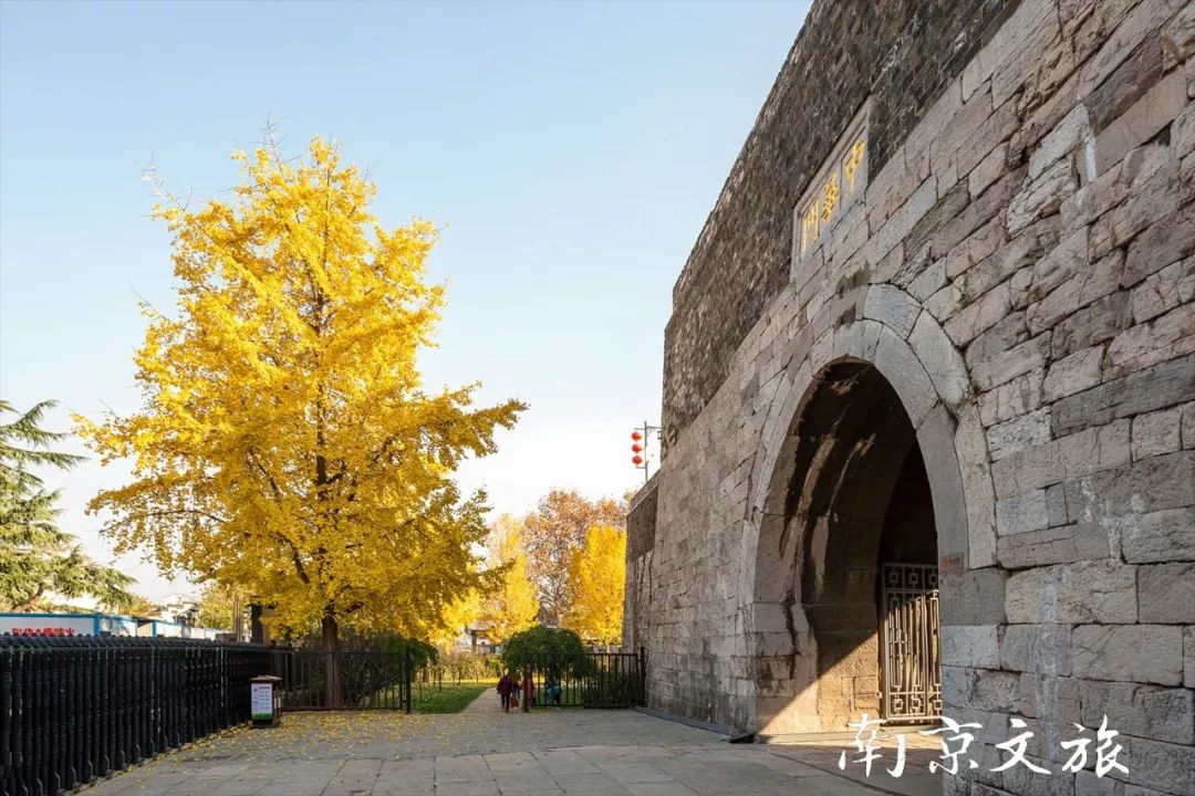12月的南京仍然美翻了!_水西门大街
