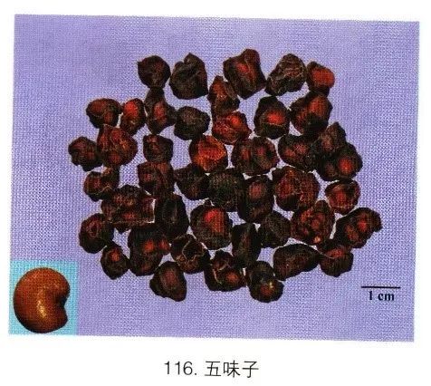 史上最全常用中药的鉴别及彩图