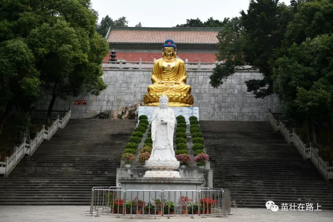 20191220米香腸粉粥鋪韋記牛雜寶林寺順峰山公園順德御膳粥迷失在順德