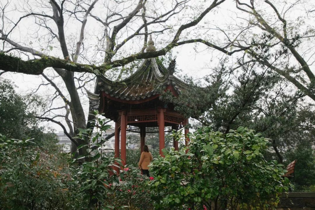 答疑镇海人民公园改造引客石碑石狮子古树游乐设施哪些保留哪些拆