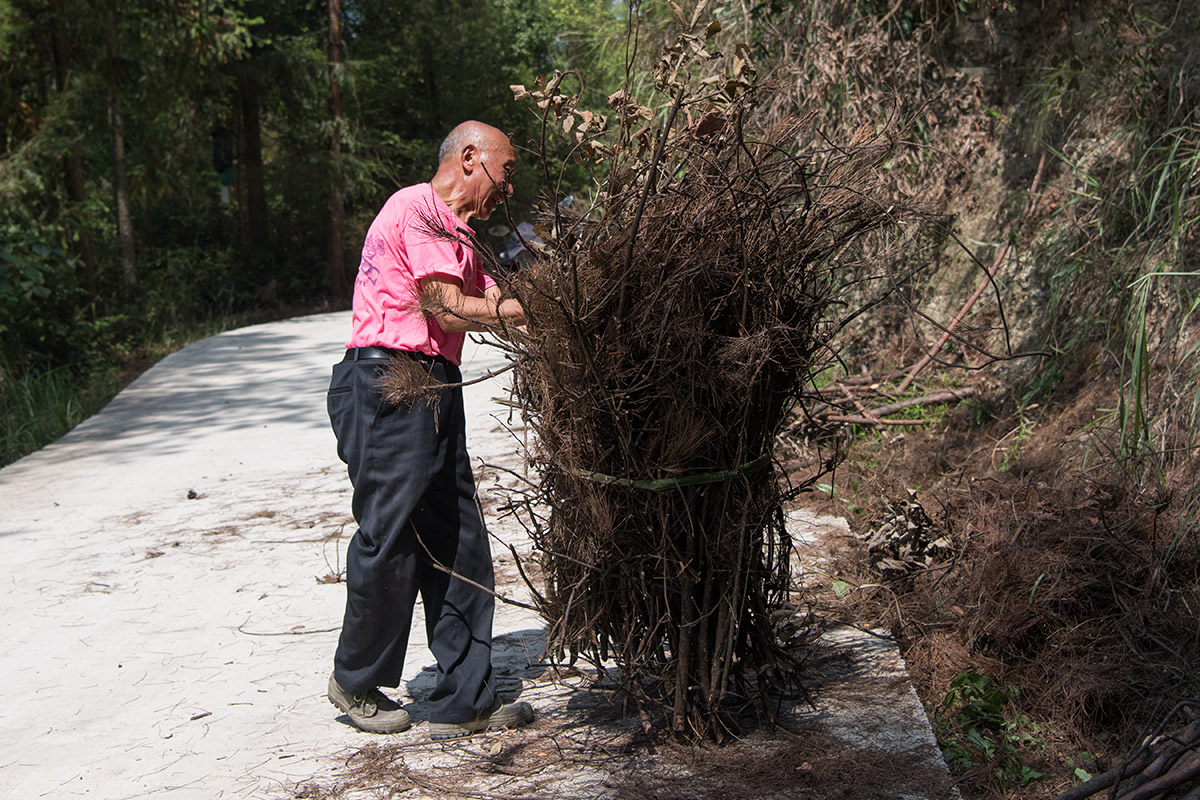 年轻时劁猪骟牛,退休后垫资修通村道,弹琴是爱好
