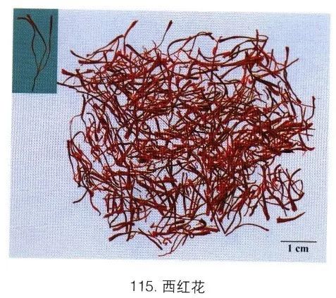 来源:鸢尾科植物番红花的干燥柱头产地:主产西班牙,意大利,德国等国.