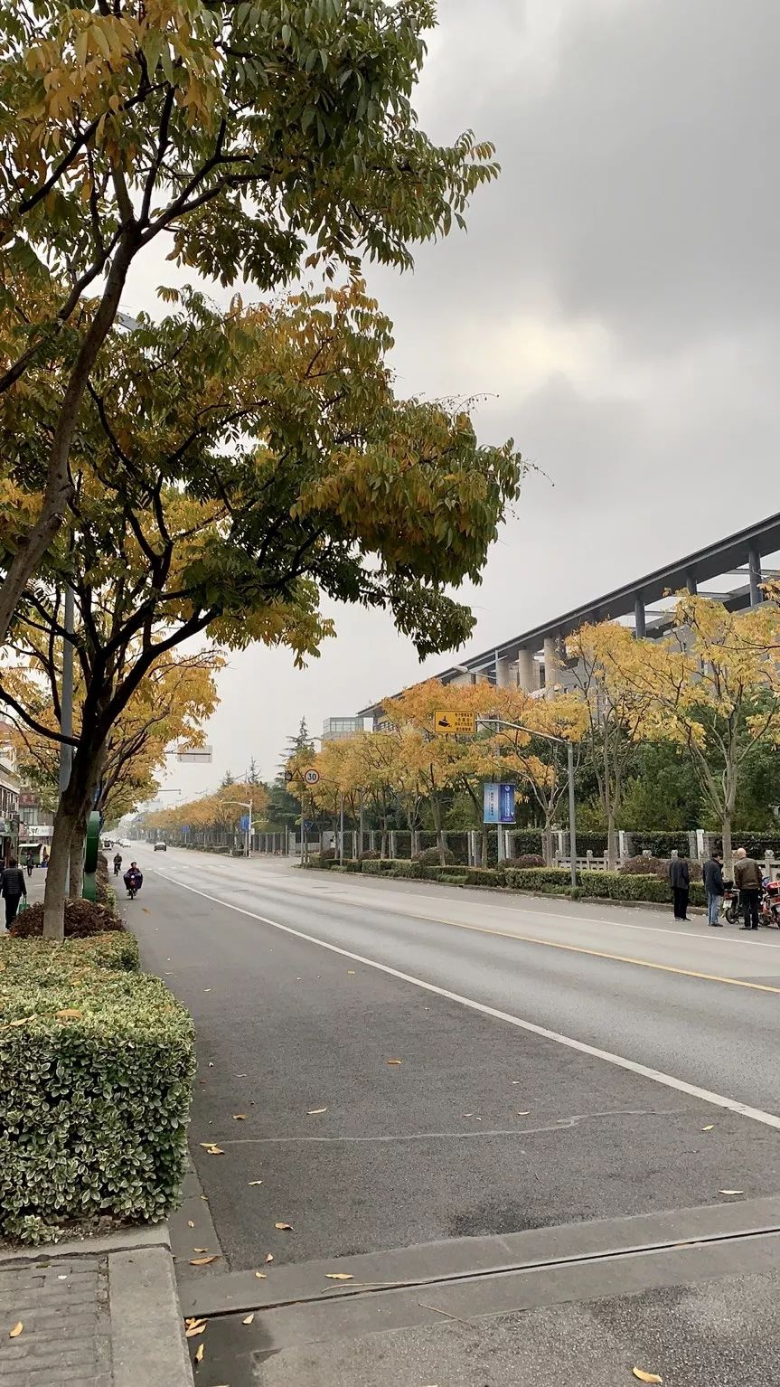 这是大家眼中最美的青浦路快来看看有你的吗