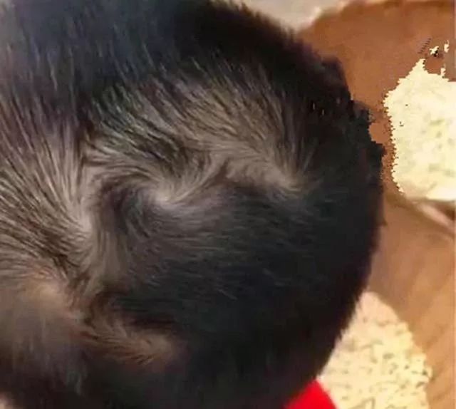 风水先生告诫孙子双顶男孩不好找双顶女孩没人要说的啥意思呢