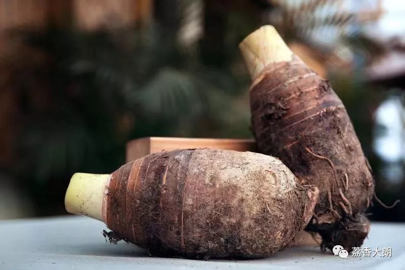 粤北特色农产品让您免费品尝