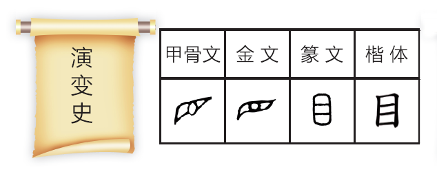 面目全非,目中无人,耳聪目明,目不暇接目瞪口呆,历历在目,赏心悦目,眉