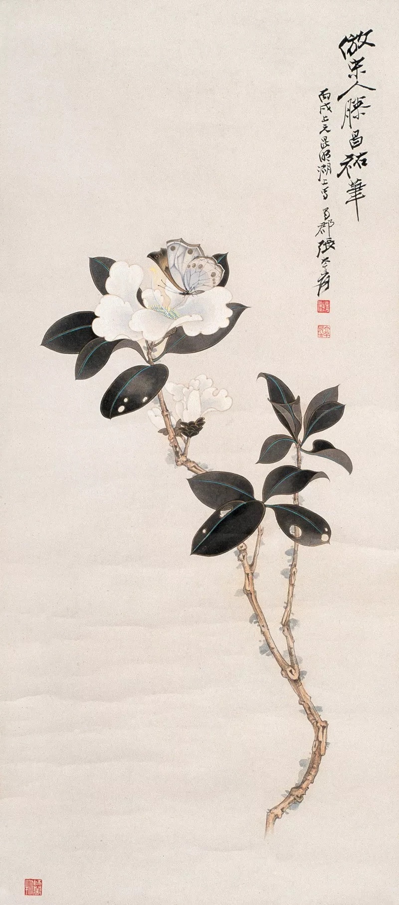 张大千花鸟画(高清100幅)_工笔