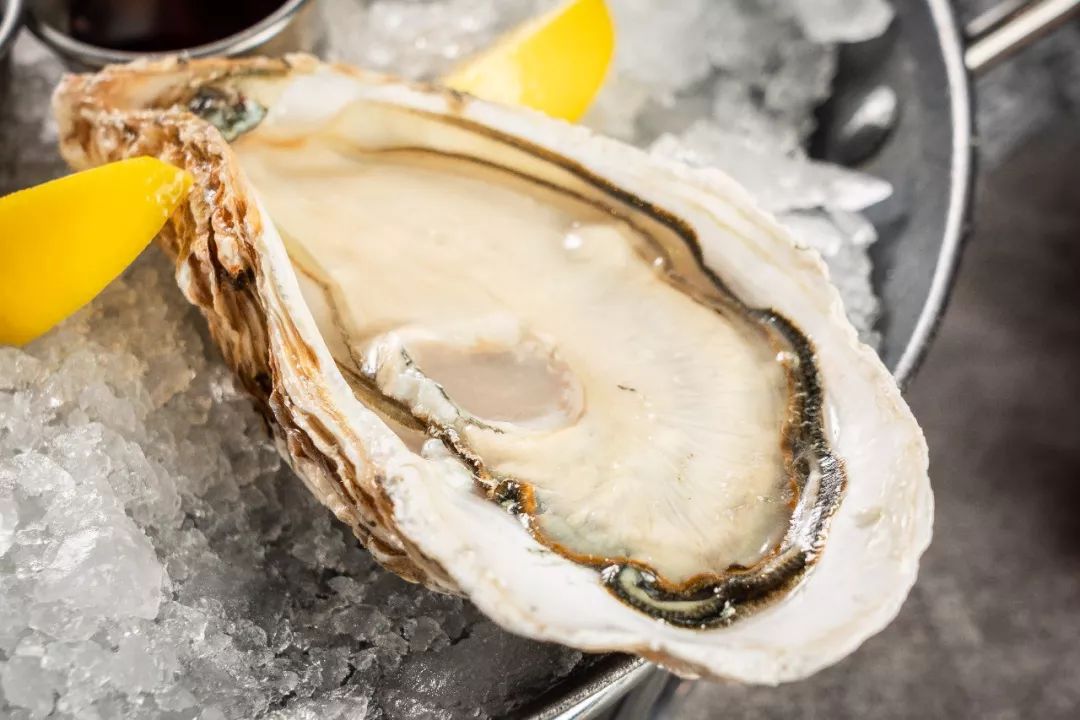 皇家古斯生蚝每一只都是百里挑一,肉质肥嫩,海水浓郁还带有非常平衡的
