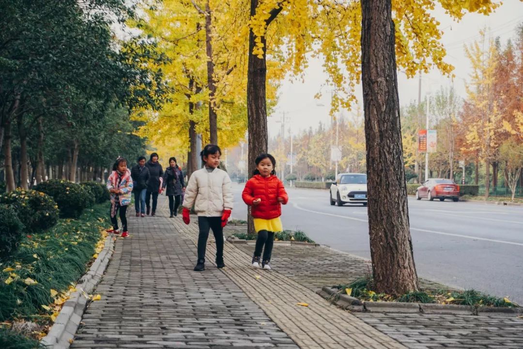 这是大家眼中最美的青浦路快来看看有你的吗
