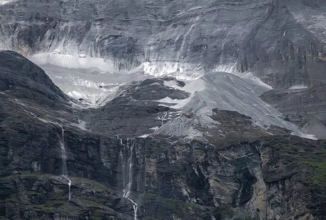 原创精选郑立恒丨生长