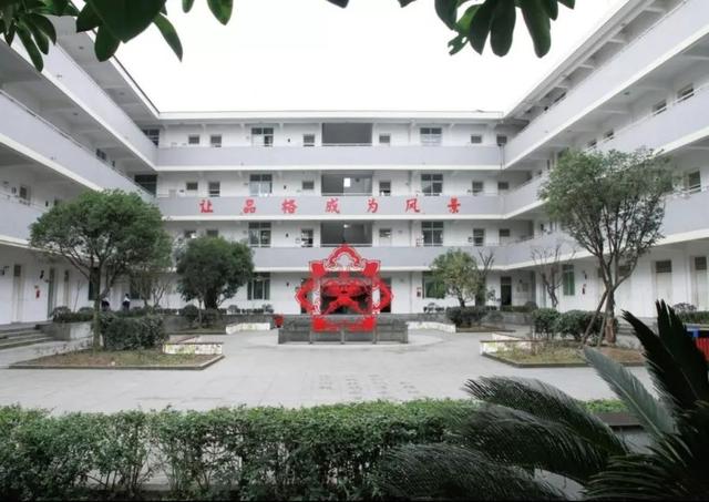 大邑县王泗镇学校：行知合一，向美而行(图14)