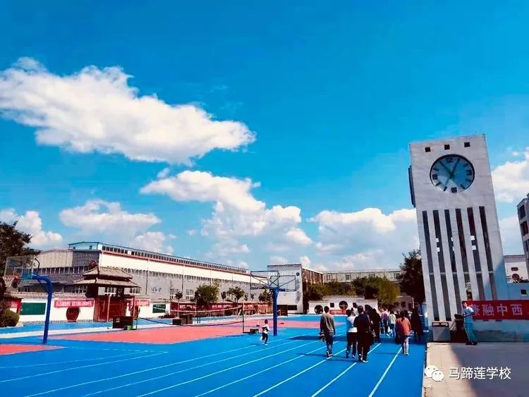 马蹄莲学校年末大型教师招聘会