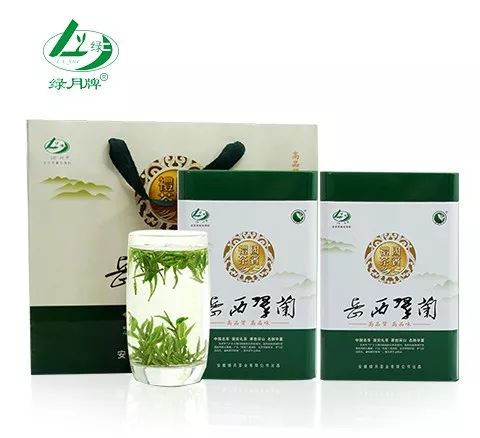 专稿 安徽绿月茶业的成长之路 茶叶行业协会