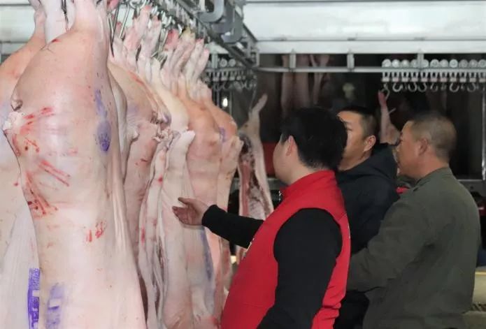 贵阳猪副批发
