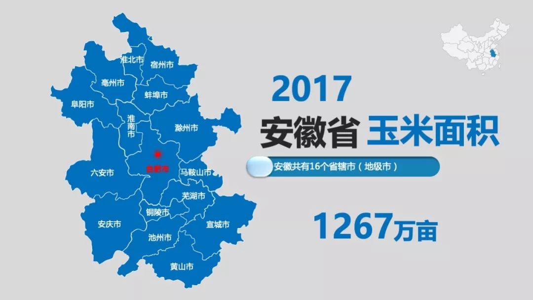 安徽省各市县玉米种植面积青贮资源不足进来看看