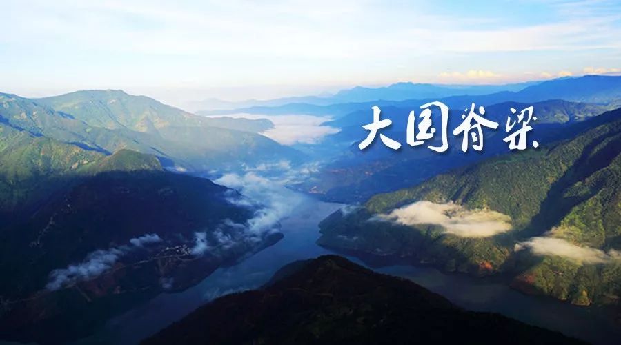 大国脊梁两弹一星元勋王希季