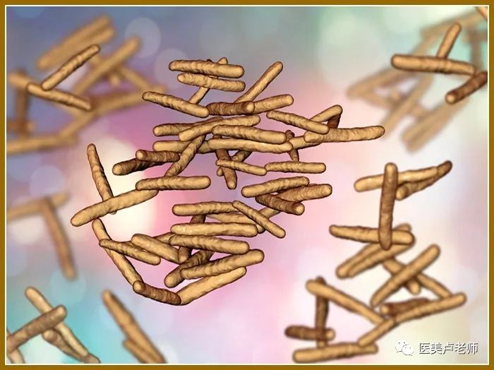 非结核分枝杆菌与整形美容术