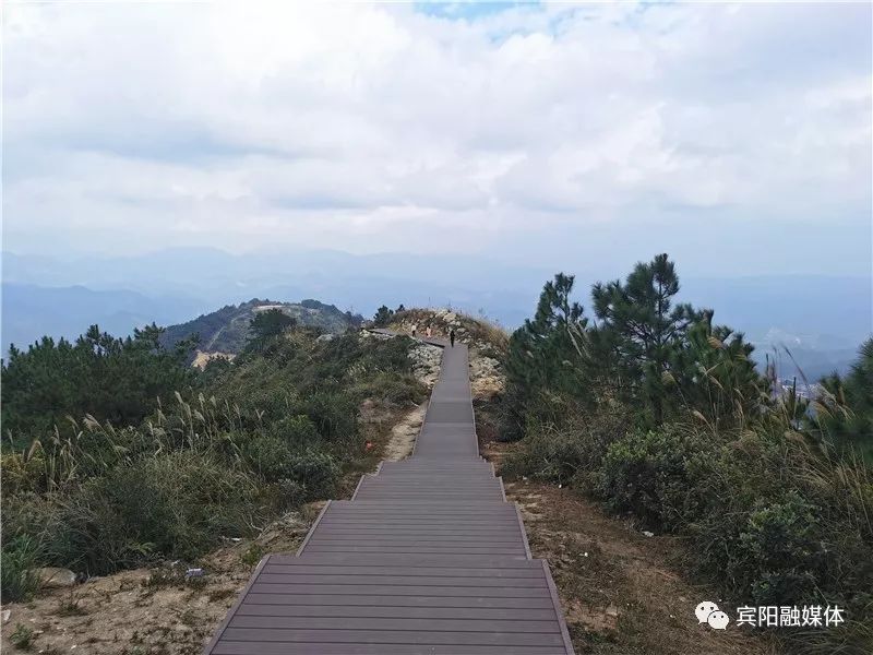 壮美名山!宾阳陈平第五届旅游登山梅花节即将盛大开幕!_陈平镇
