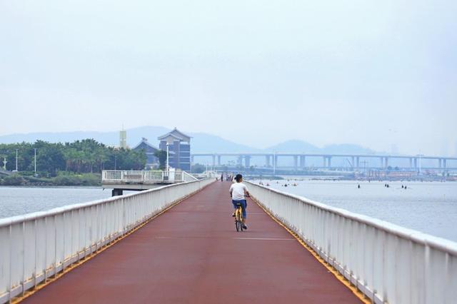 在厦门不仅可以在海边骑车,甚至可以在海上骑车!