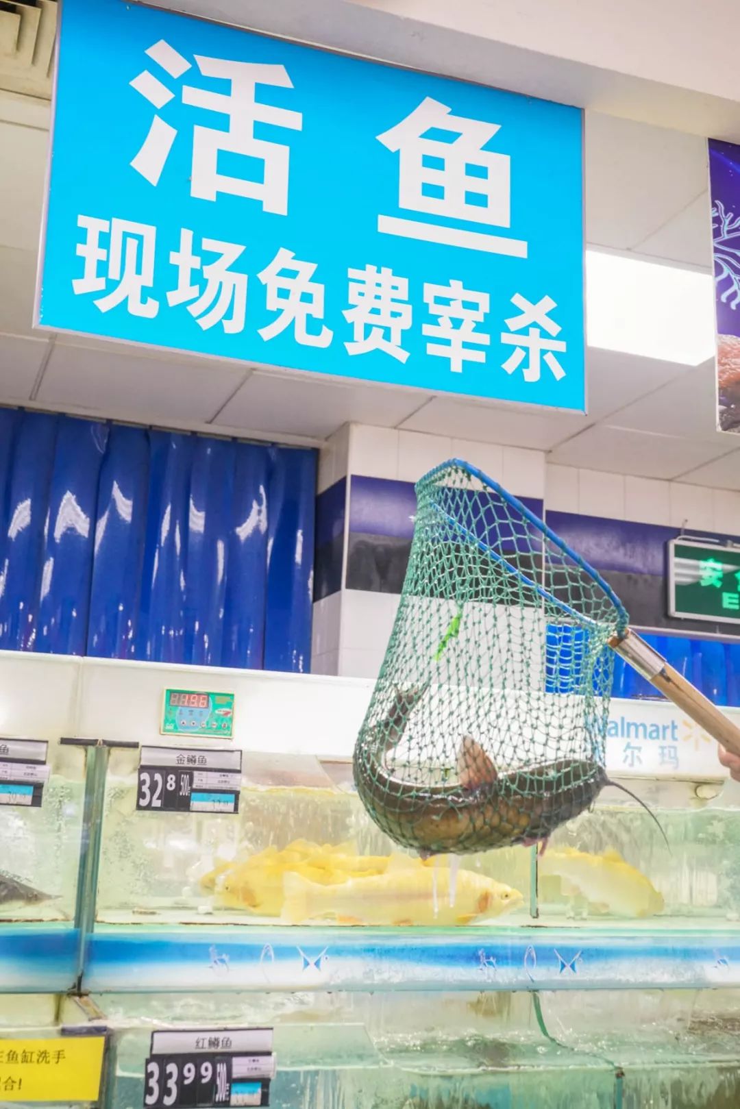 鲜到让北京人掉眉毛的超市,教你识别新鲜!